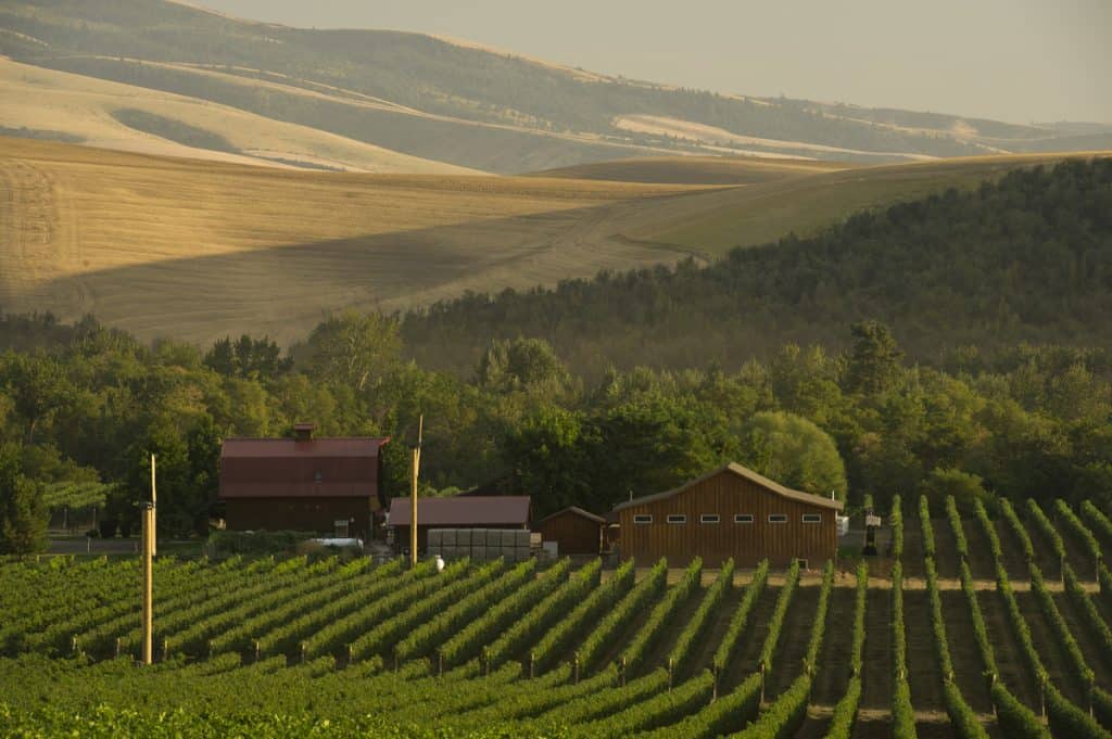 The Walla Walla Vintners winery and estate