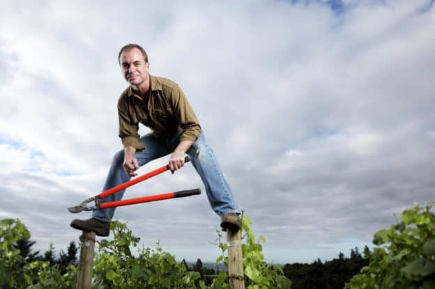 Eric Hamacher in the vineyard