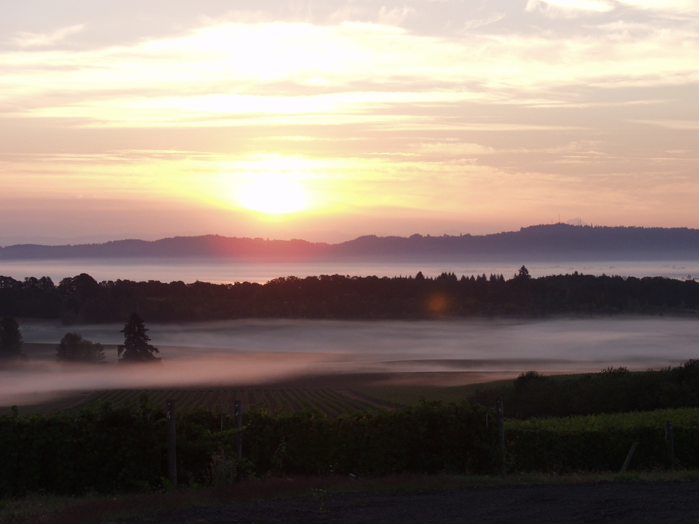 Willamette Valley courtesy of Ron Kaplan